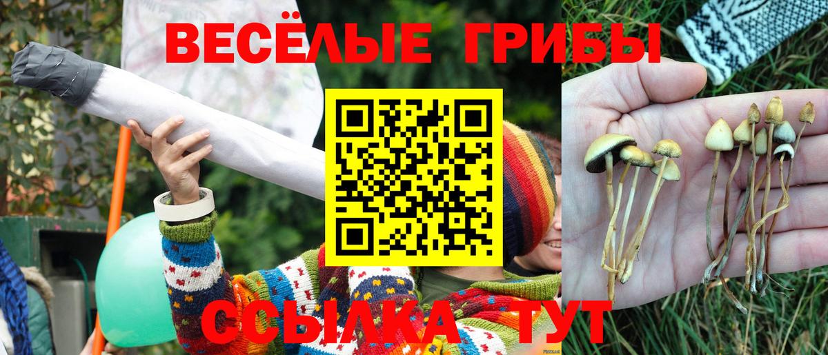 Галлюциногенные грибы GOLDEN TEACHER  Псилоцибиновые грибы Psilocybe  Избербаш  Вход с VPN 