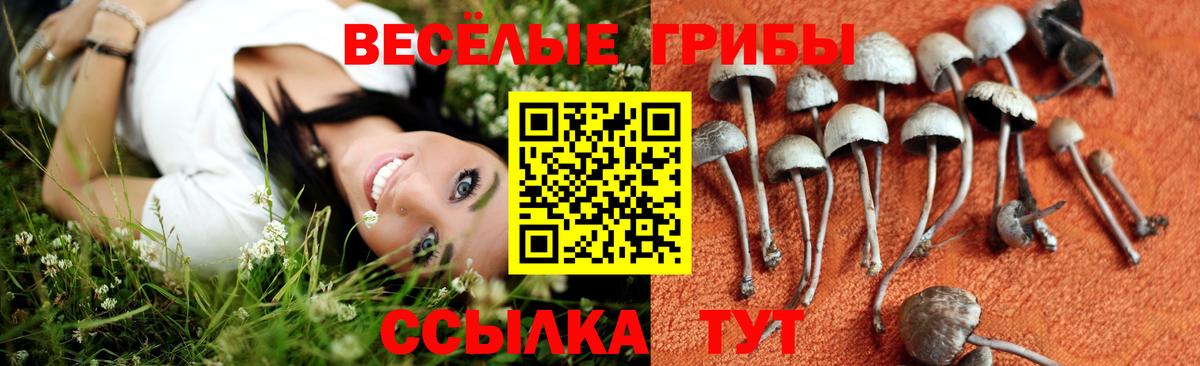 Галлюциногенные грибы Magic Shrooms Избербаш